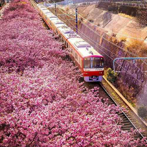 عباس بابایی محبوب من از تو من هزاران گله دارم ای خوب من